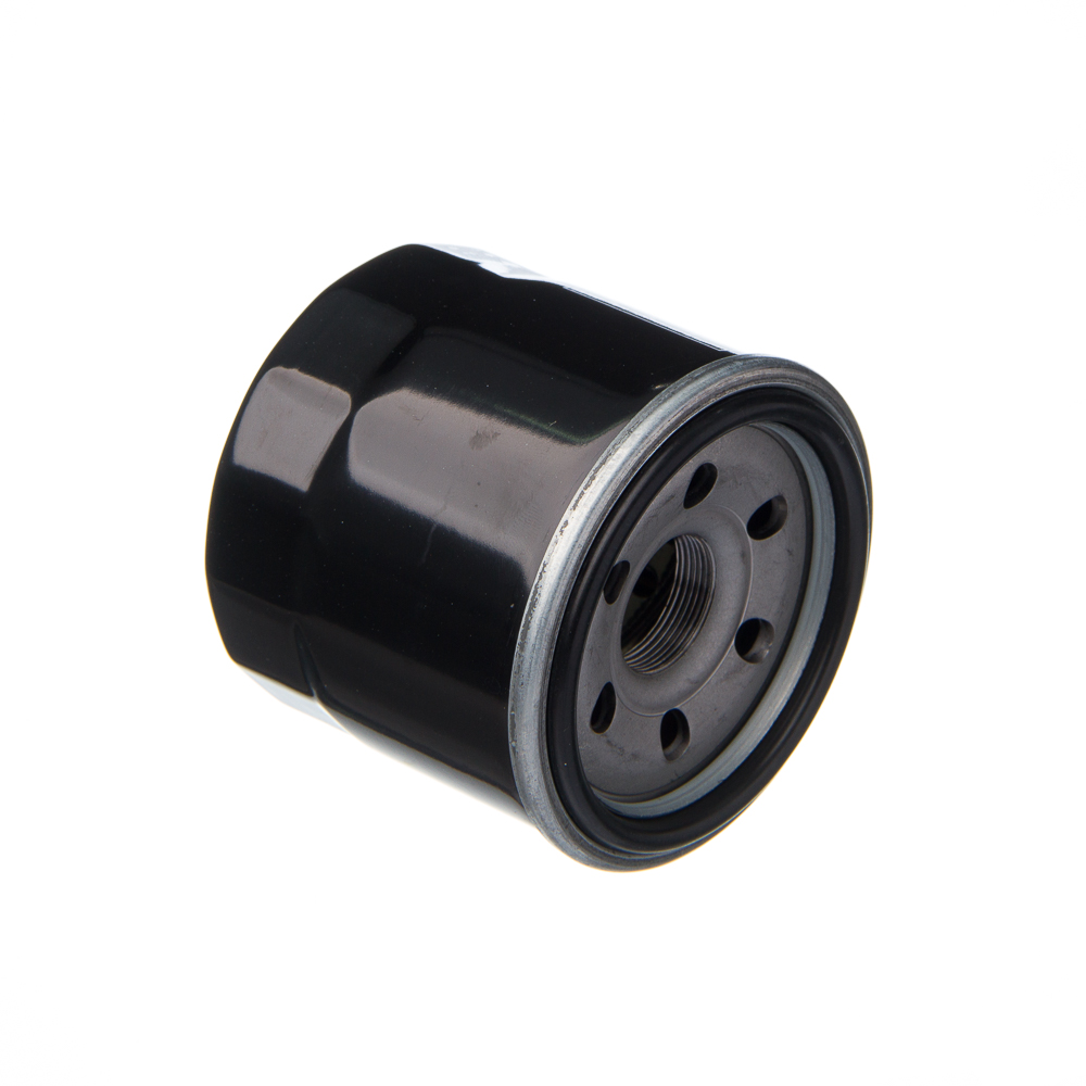Filtro De Oleo Eis Suz-bandit 650s 09-10 ...