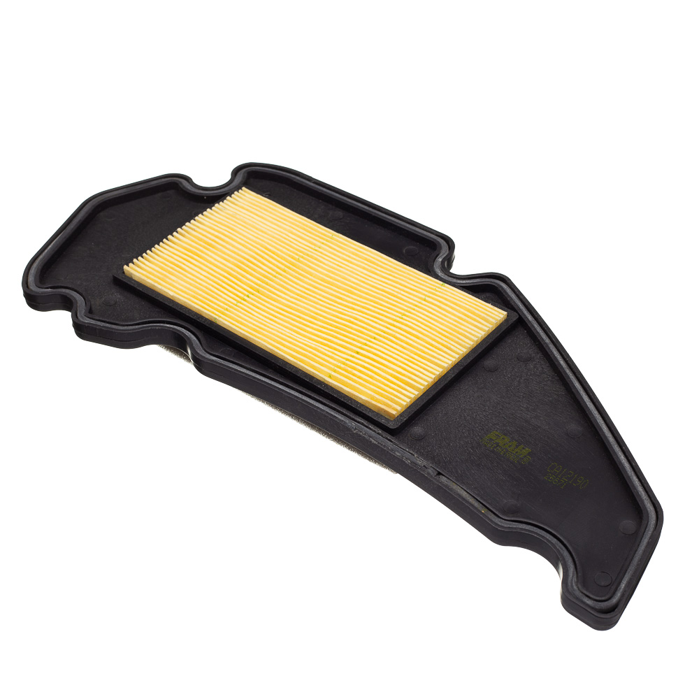 Elemento Filtro De Ar Fram Burgman 125 An...